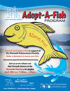 Adopt a Fish with 1 Fish 2 Fish in Langley for the Nicomekl Enhancement Society